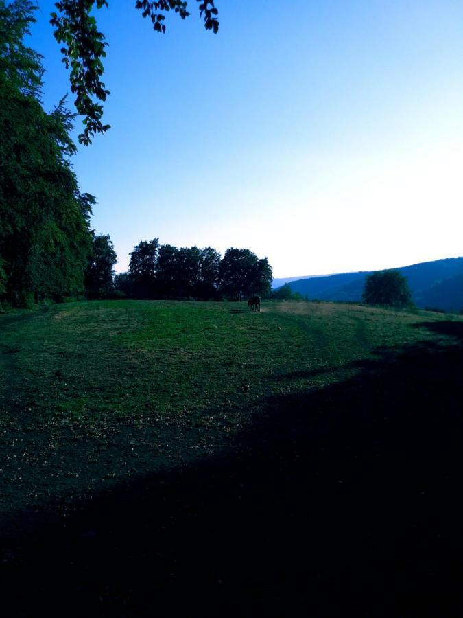 Au Havre Du Circuit Villa Malmedy Exterior foto